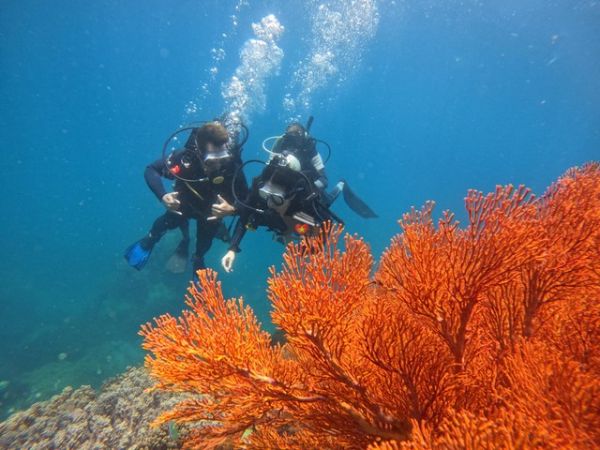 Open Water Diver Course Nha Trang